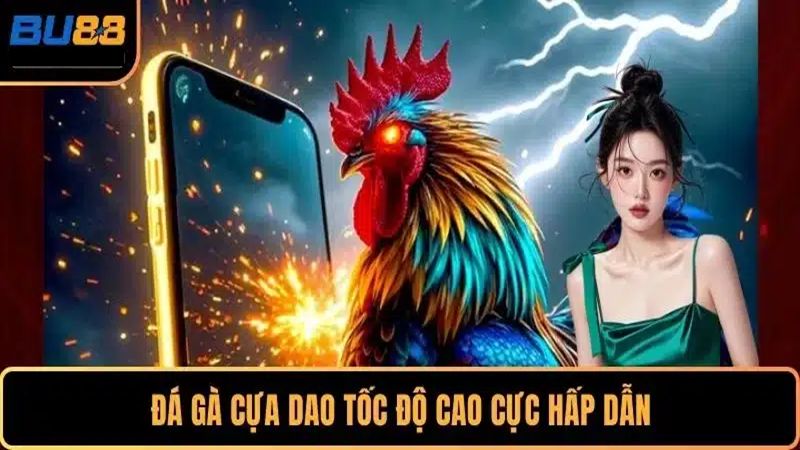 Điểm qua các loại hình chọi gà trên BU88