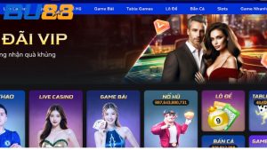 Lý do người chơi nên đăng ký đăng nhập Bu88 để cá cược